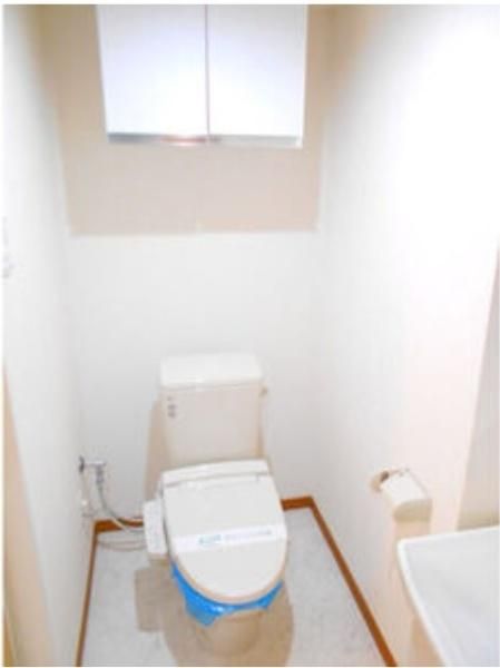 �y�g�C���z�@