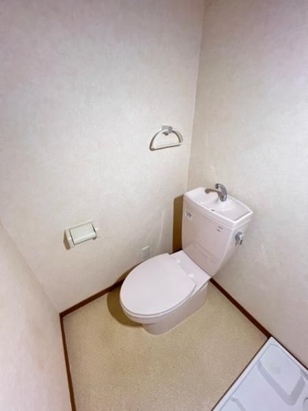 �y�g�C���z�@