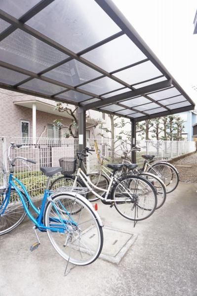 �y���̑����L�����z�@