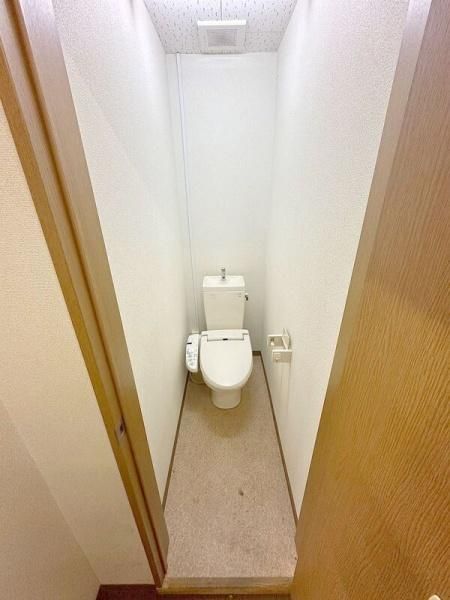 �y�g�C���z�@