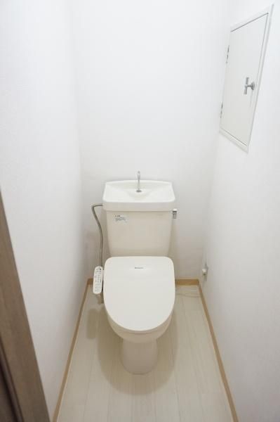 �y�g�C���z�@