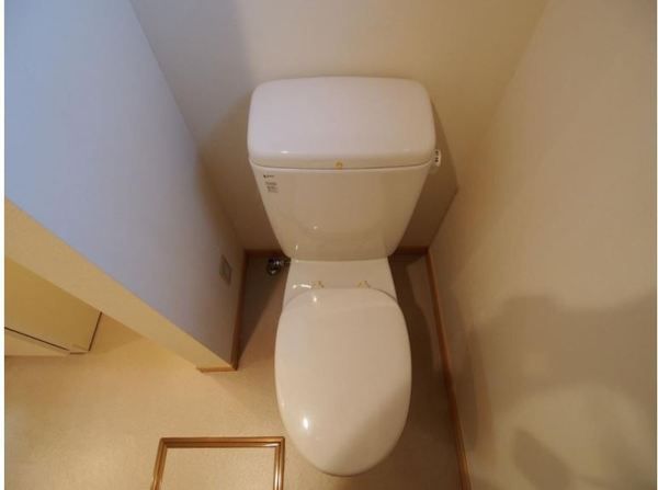 �y�g�C���z�@